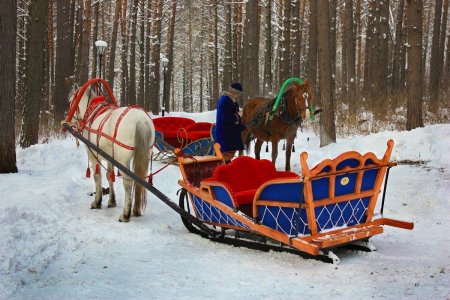 Зимние сани для лошадей