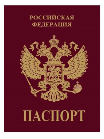 Паспорт РФ обложка