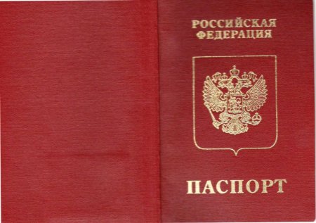 Обложка на паспорт