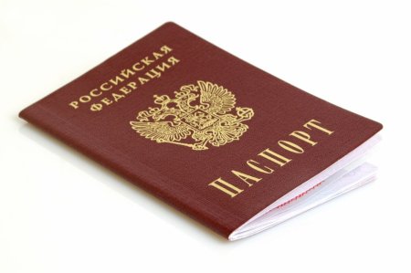 Паспорт без фона
