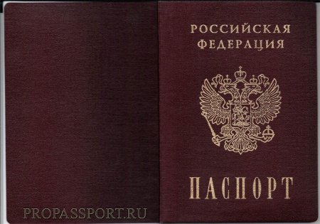 Паспорт РФ обложка