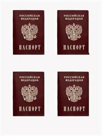 Паспорт картинка для печати на сахарной бумаге