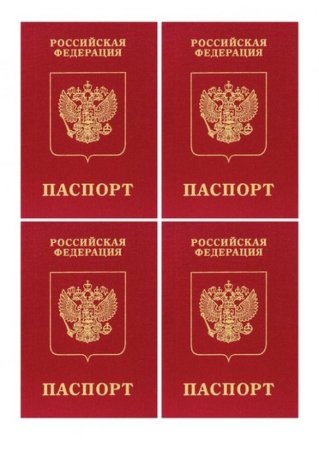 Торт с паспортом