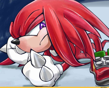 Ехидна НАКЛЗ