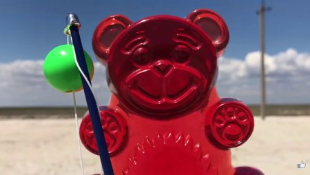 ЖЕЛЕЙНЫЙ медведь Варела