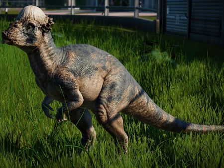 Пахицефалозавр парк Юрского периода