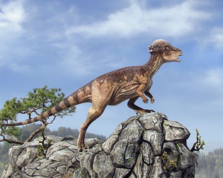 Пахицефалозавр парк Юрского периода