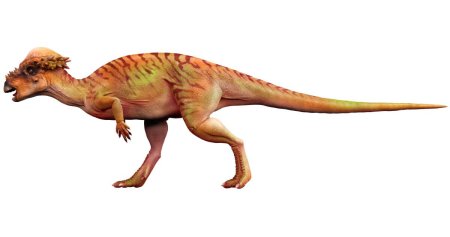 Pachycephalosaurus динозавр