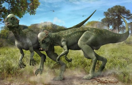 Динозавры Красовский Пахицефалозавр