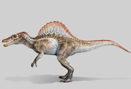 Пахицефалозавр против тиранозавра