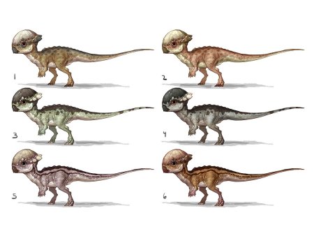 Пахицефалозавр парк Юрского периода
