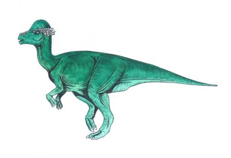 Динозавр Пахицефалозавр