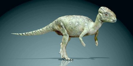 Пахицефалозавр парк Юрского периода