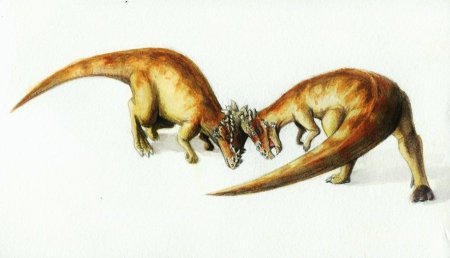 Динозавр с костяной головой