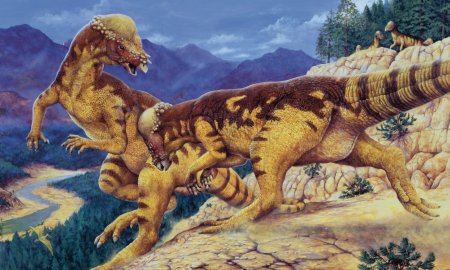 Пахицефалозавр парк Юрского периода