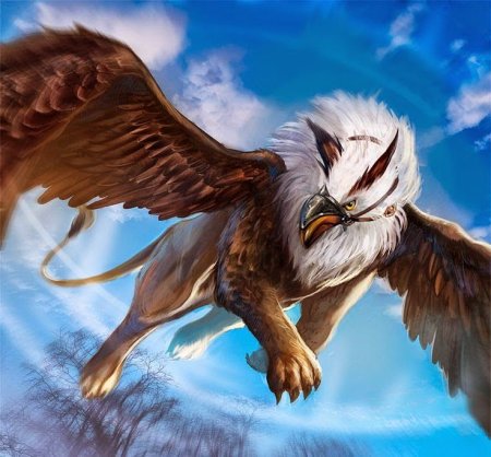 Полуптица полулев