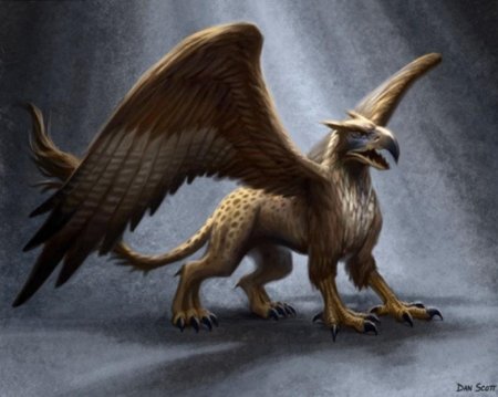 Королевский Грифон герои