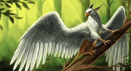 Белый Грифон птица