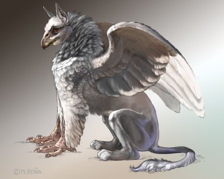 Дракон гиппогриф