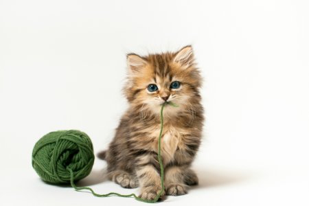 Котенок с клубочком