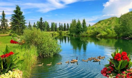 Летняя природа