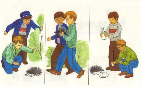 Картинки для составления рассказа