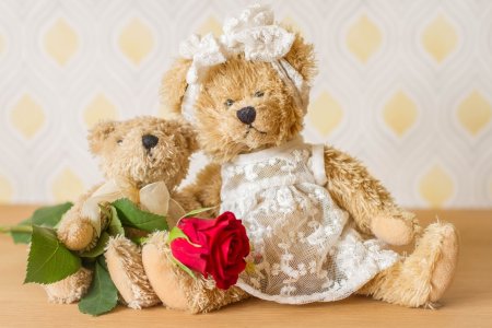 Тедди Беар цветы