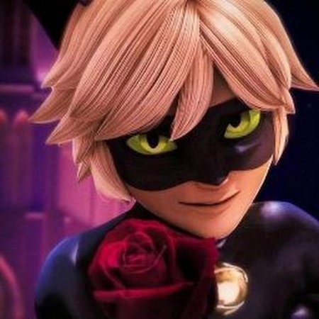 Супер кот Нуар