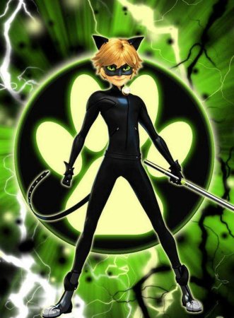 Кот Нуар в полный рост