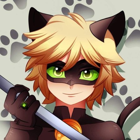 Супер кот кот Нуар