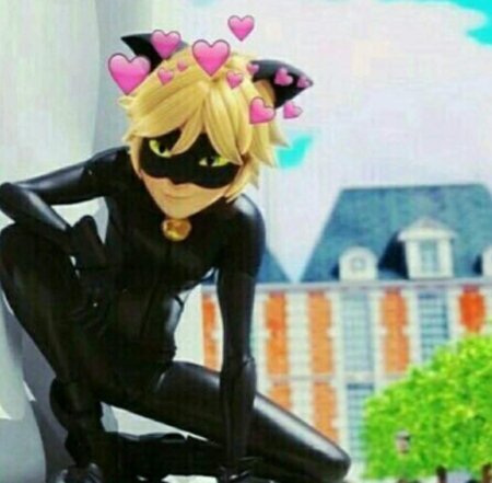 Кот Нуар Эдит