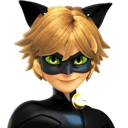 Супер кот Нуар