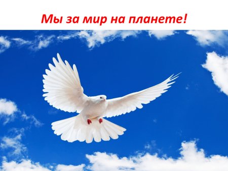Надпись мы за мир на всей планете