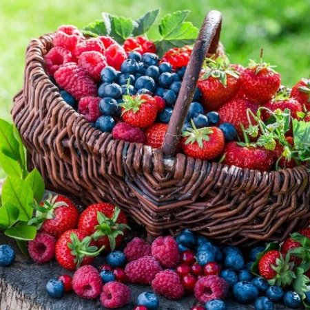 Красивые ягоды