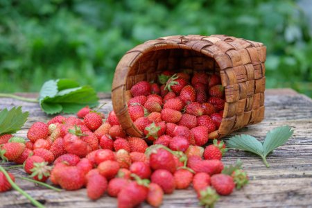 Июльские ягоды