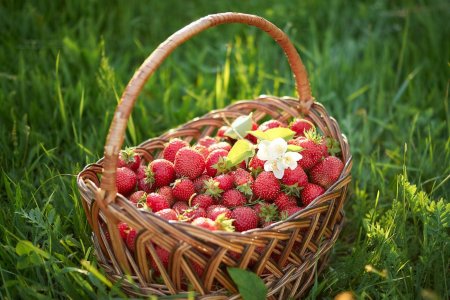 Клубника в корзинке
