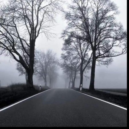 Серая природа