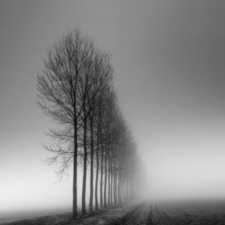 Черно белый пейзаж