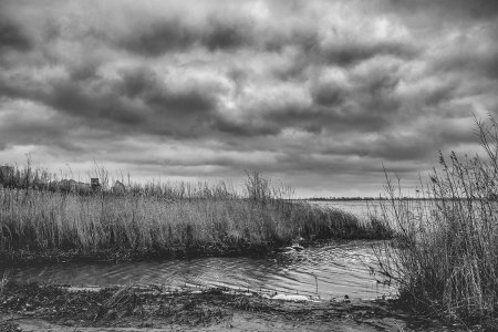 Серый пейзаж