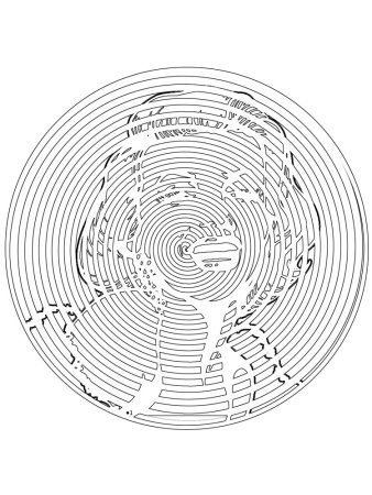 Spiroglyphics печать BTS