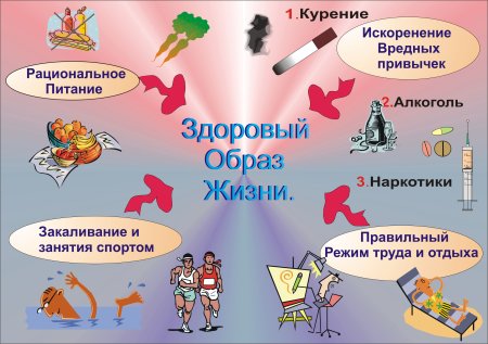 Здоровенный образ жизни