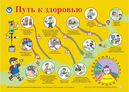 Правила здорового образа жизни