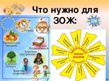 Правила здорового образа жизни