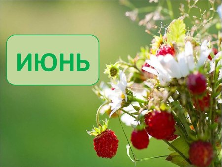 Народный праздник Давид земляничник