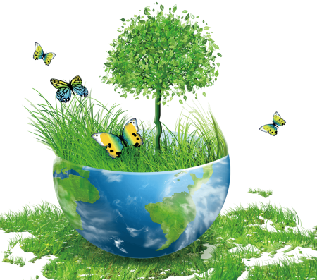 Экология для дошкольников