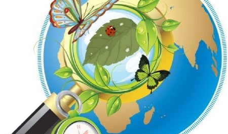 Экологическое краеведение