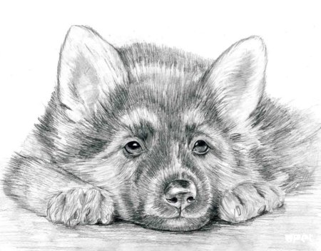 Красивые рисунки карандашом