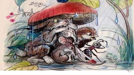 Владимир Сутеев под грибом