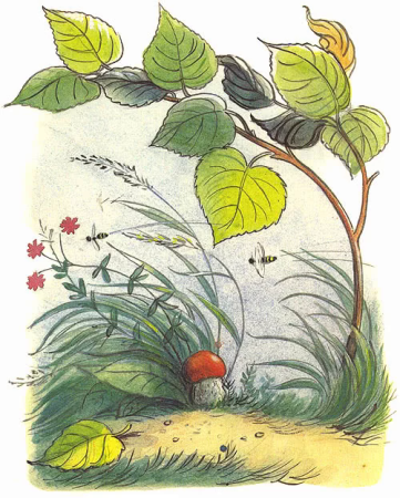 Сказка Сутеева под грибом