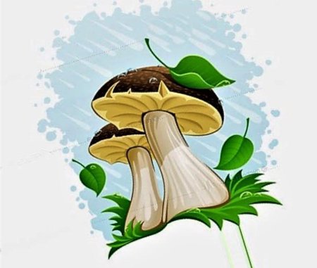 Грибник на прозрачном фоне